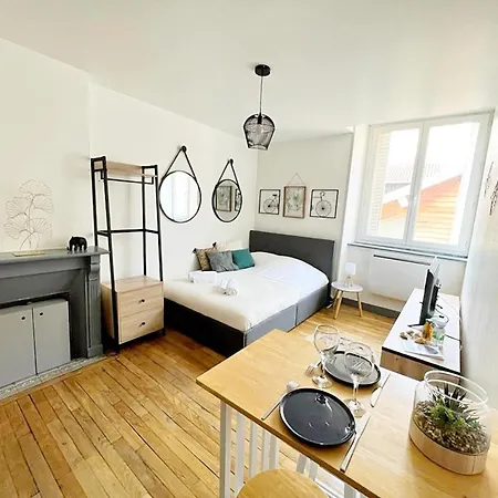 Le Petit Carmes, Studio Chaleureux Limoges Exterior photo